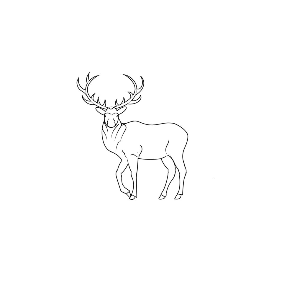 how to draw an elk step by step 4 draw elk horns