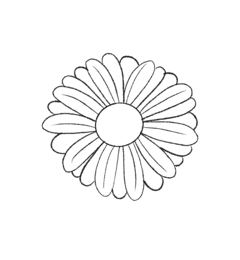 How to Draw a Realistic Daisy Quick Step by Step