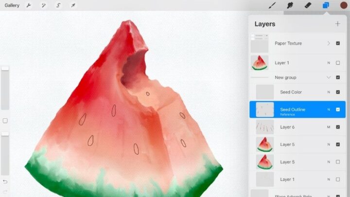 What You Oughtta About Procreate Reference Layer