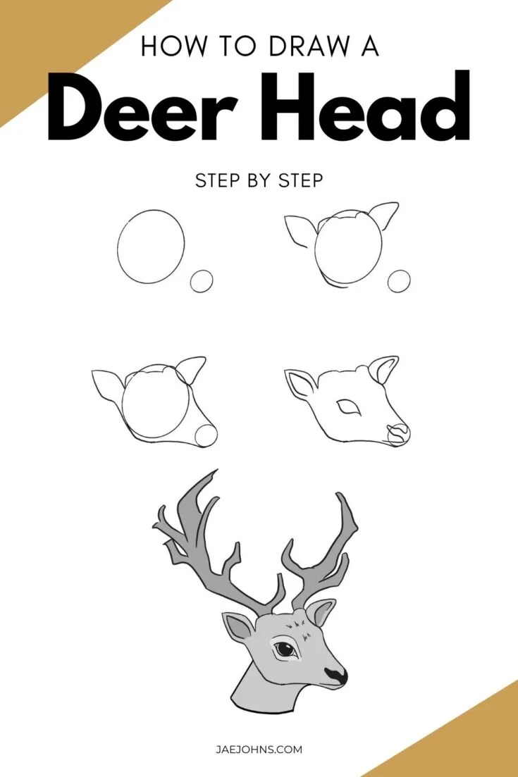 deer head drawing