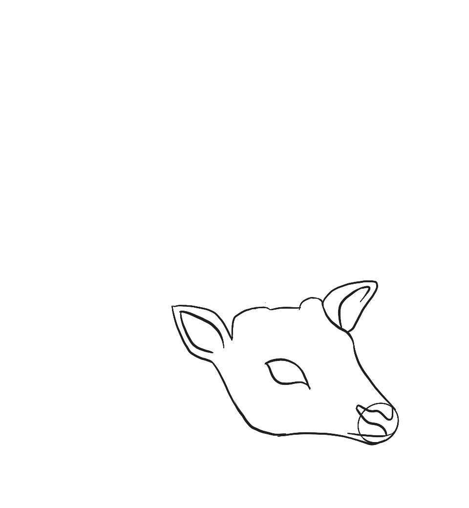 buck drawing - deer head drawing step 6