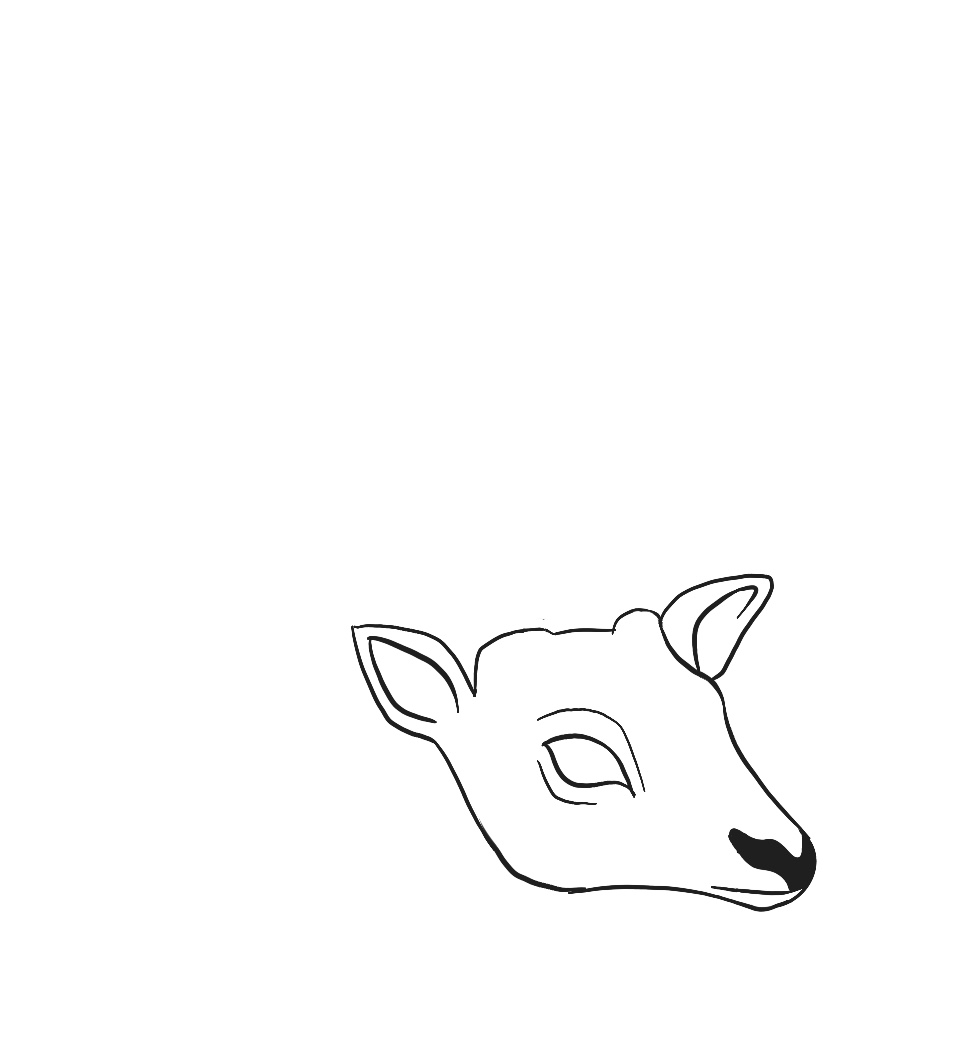 how to draw a deer head - deer head drawing step 7