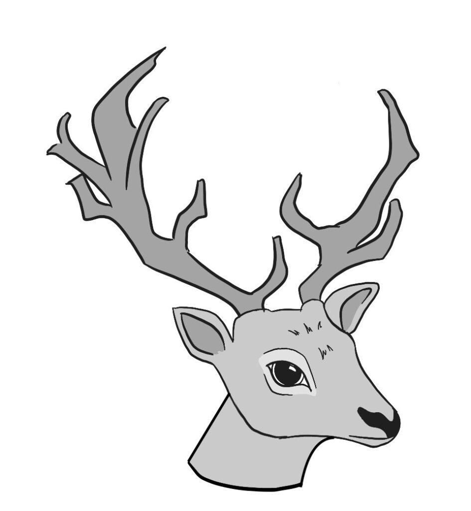 deer head sketch - deer head drawing step 8