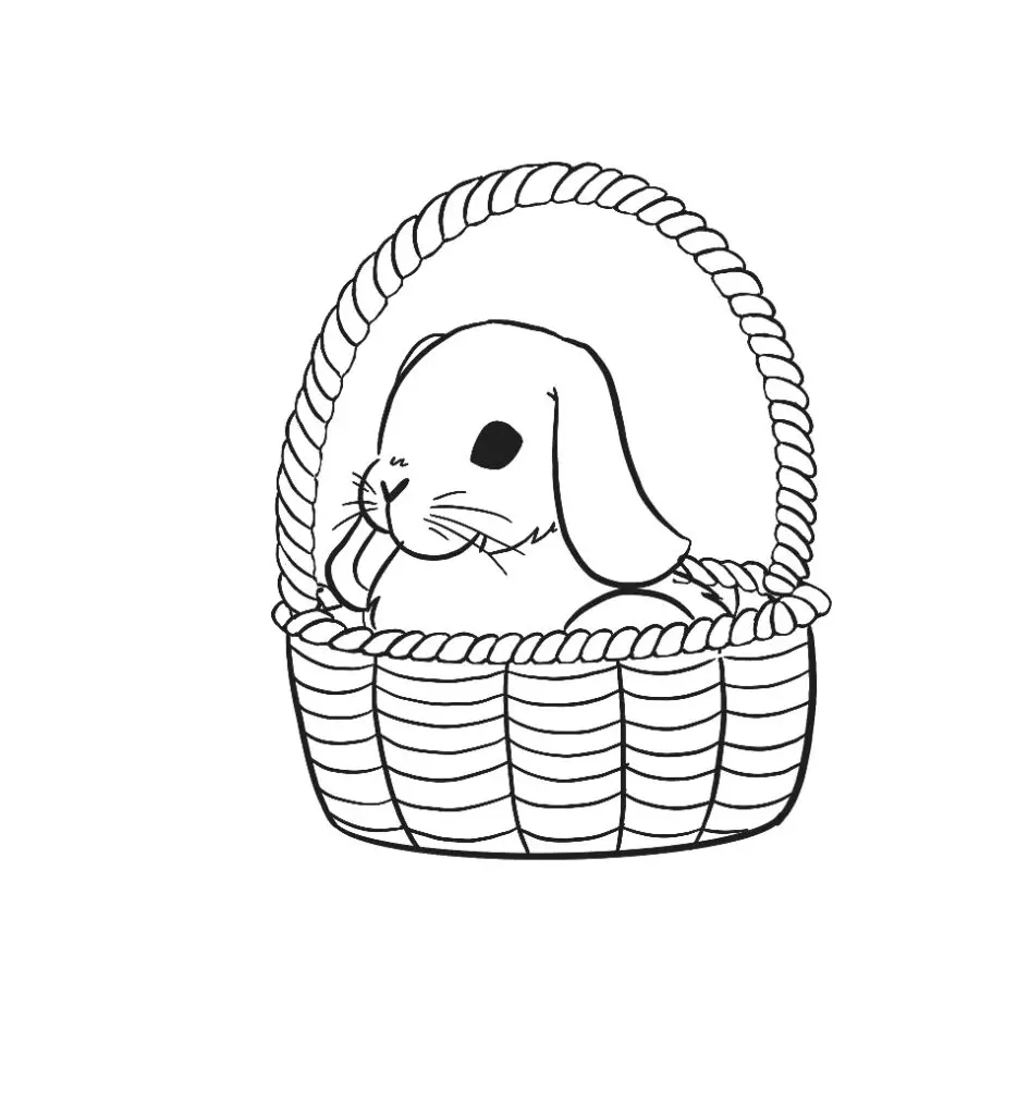 how to draw a bunny in a basket step 15