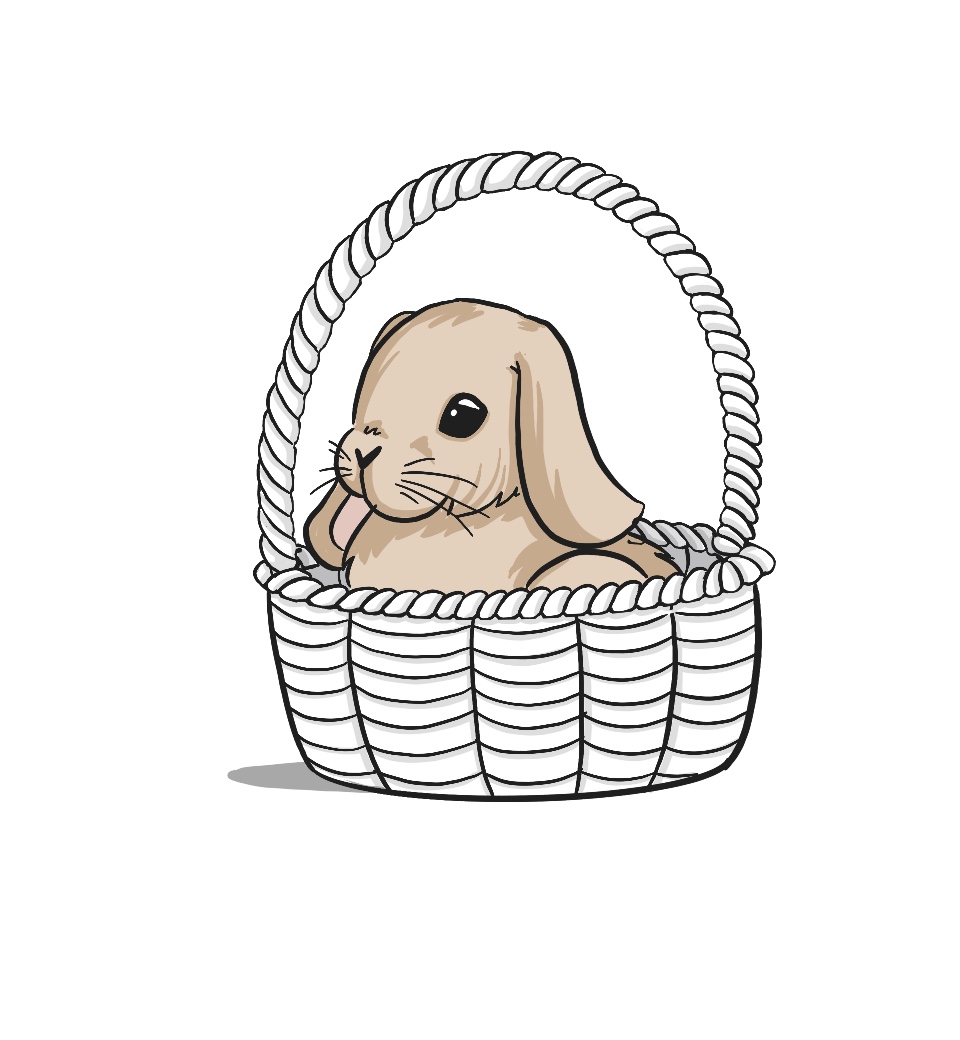 how to draw a bunny in a basket step 16