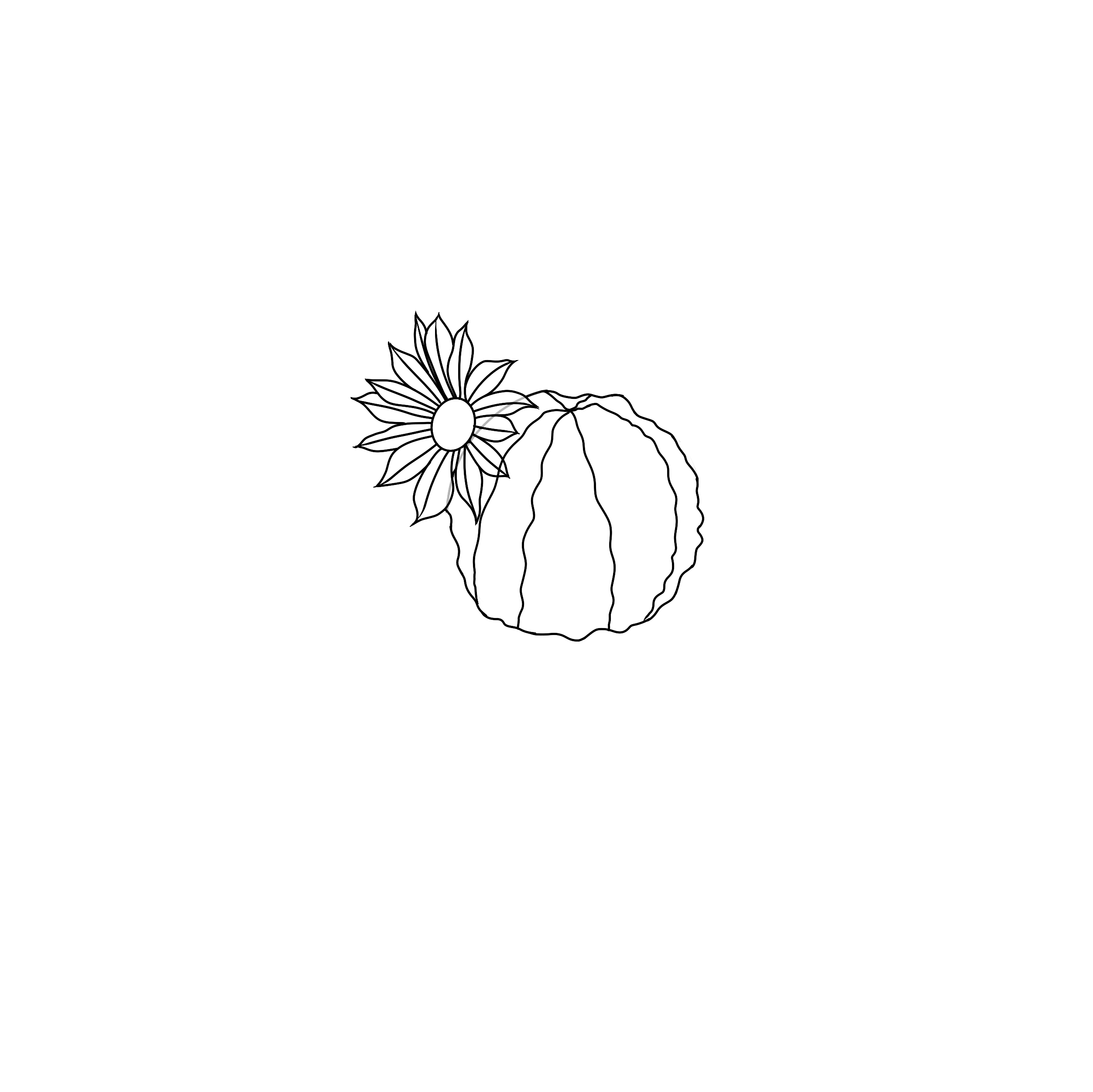 how to draw a cactus flower step 3