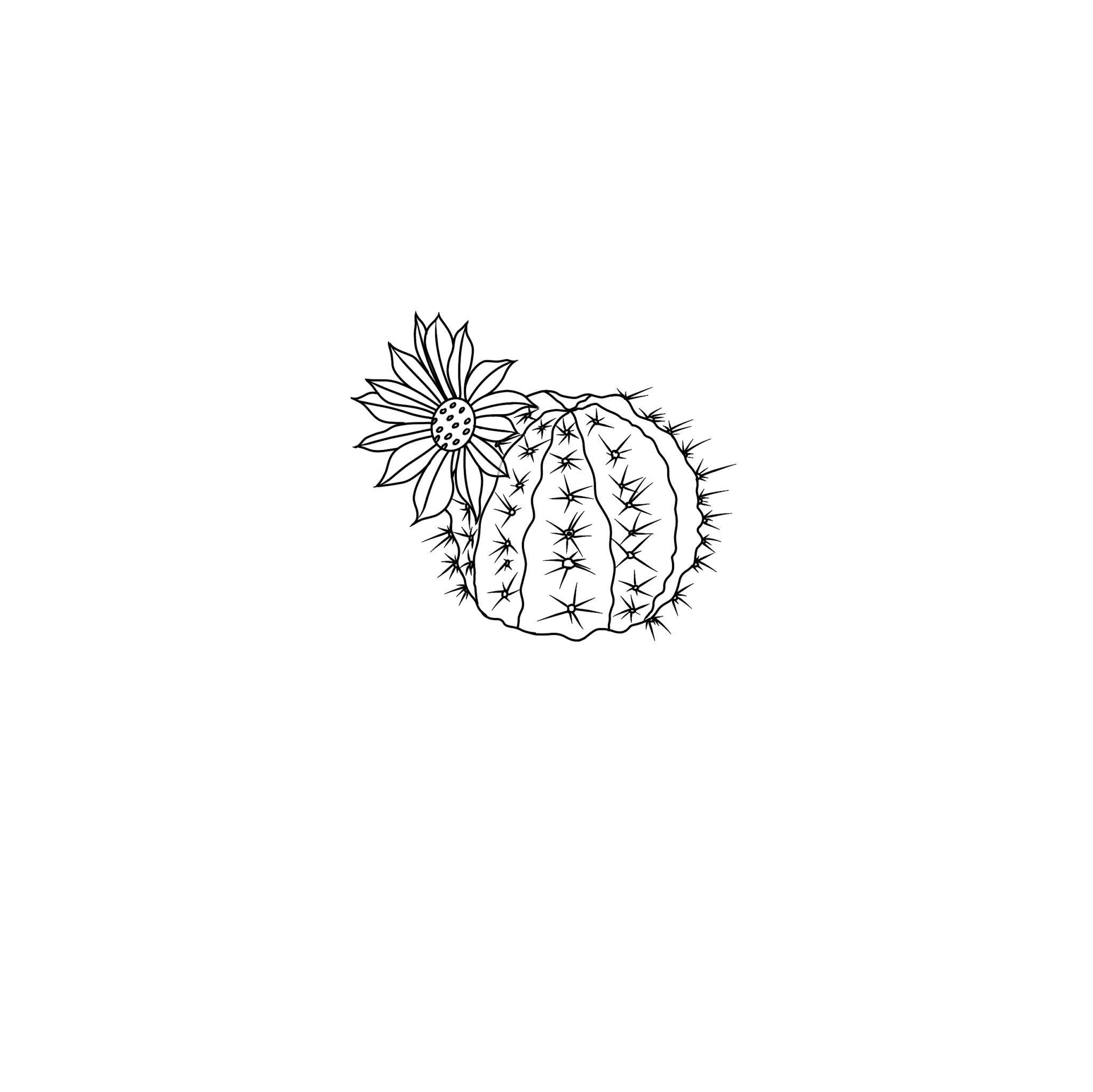 How to Draw a Realistic Cactus Flower (5 Easy Steps)