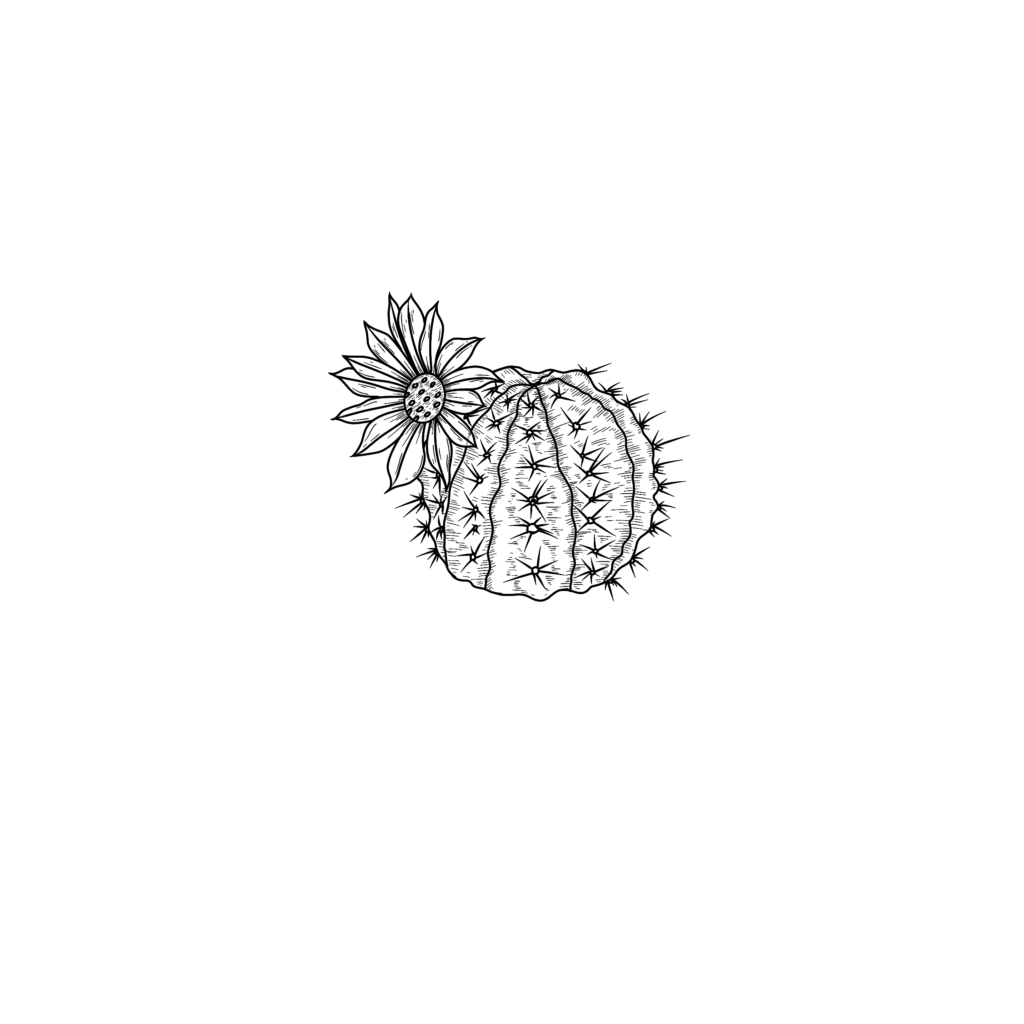 how to draw a cactus flower step 5