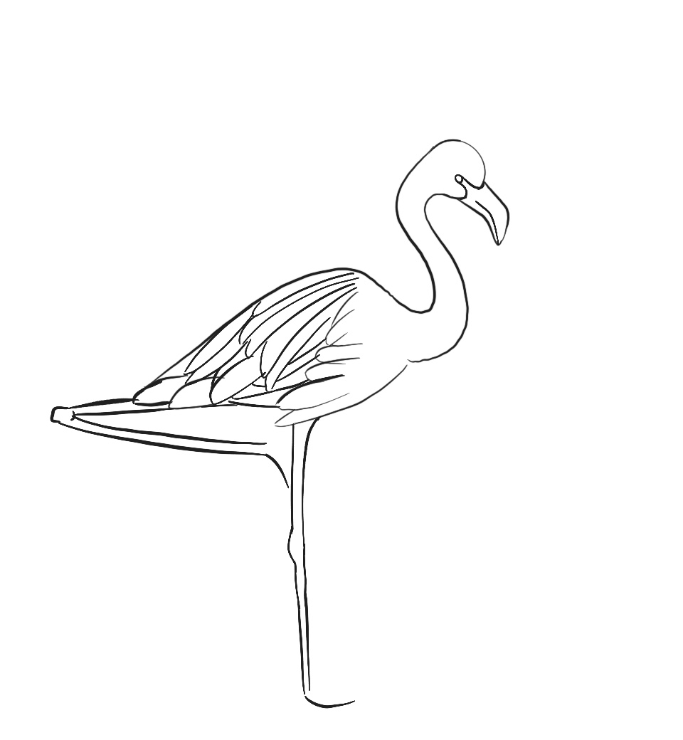 draw flamingo for kids