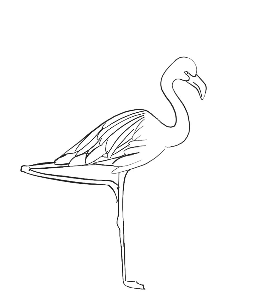 draw flamingo cartoon