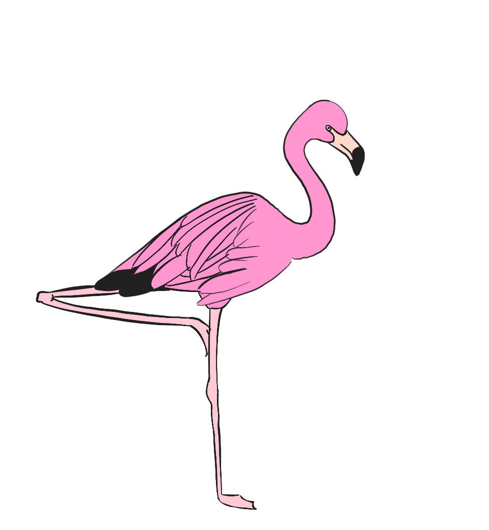 draw flamingo cartoon