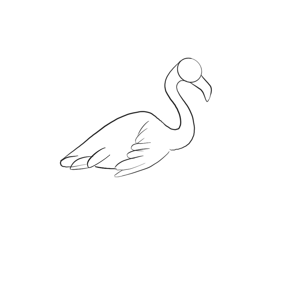 how to draw a flamingo step 6