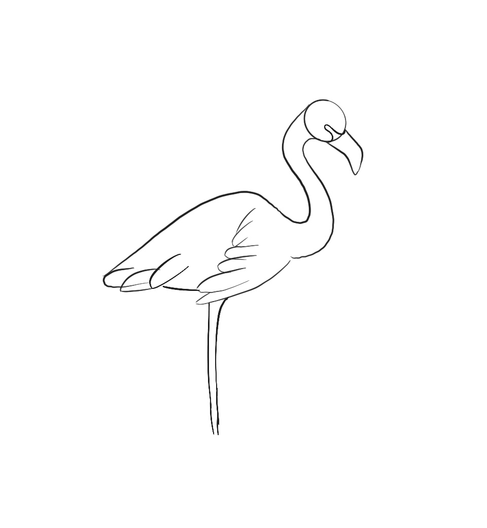draw flamingo step by step