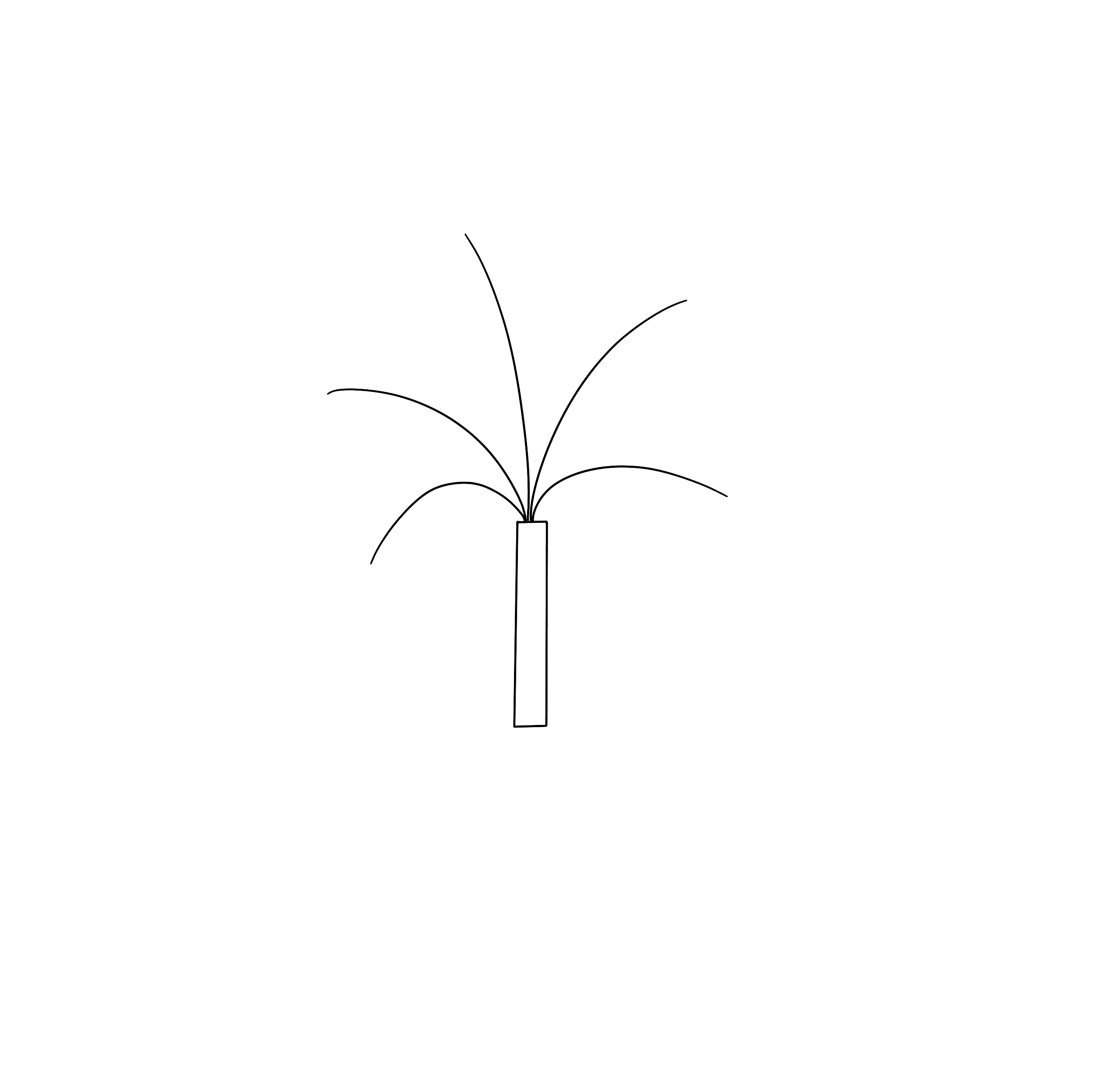 how to draw a palm tree step 1