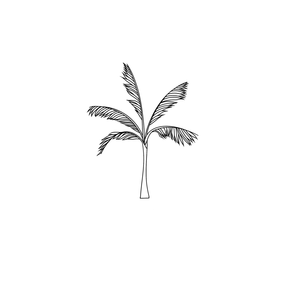 how to draw a palm tree step 3