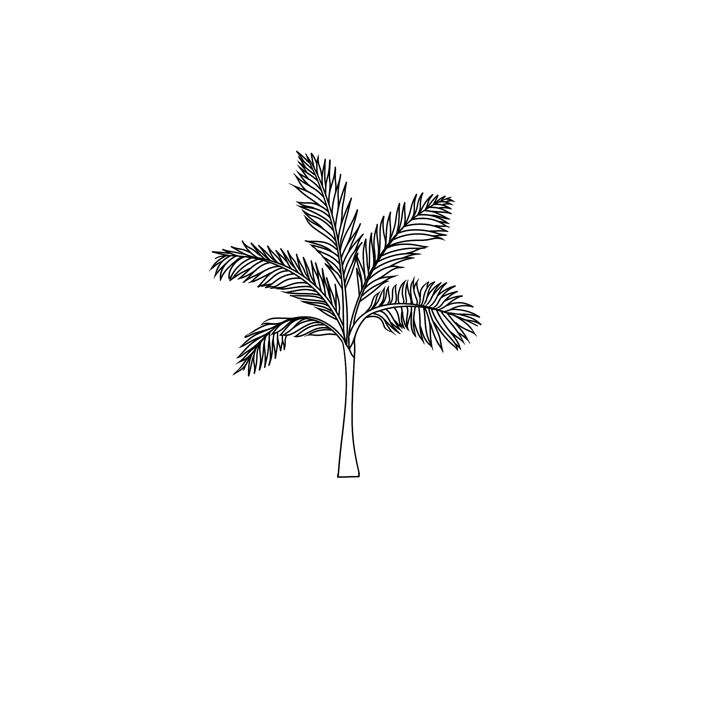 how to draw a palm tree step 4
