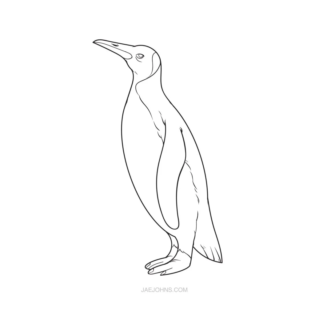 How to Draw a Penguin | 5 Easy Steps - Jae Johns