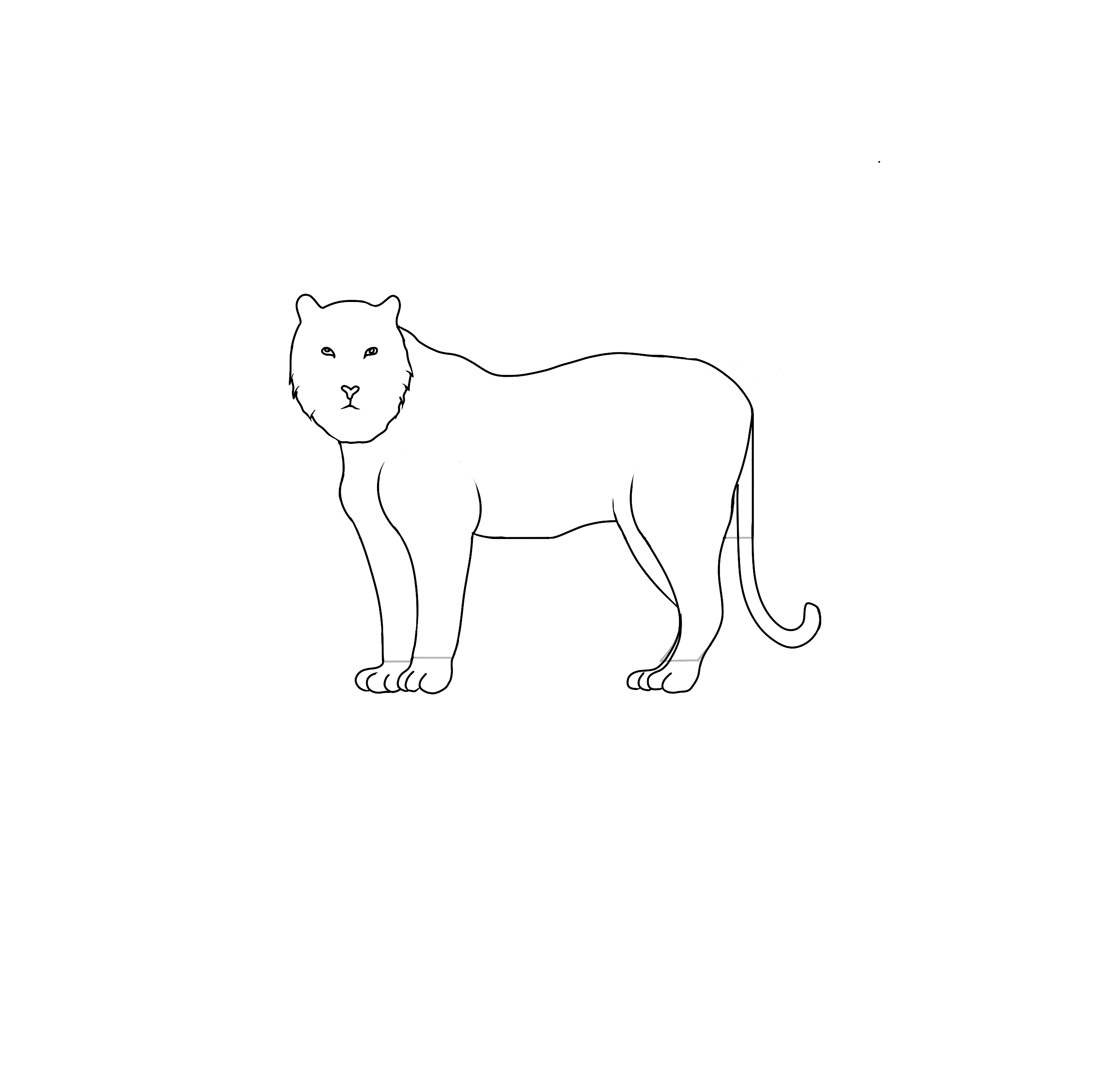 how to draw a tiger step 4