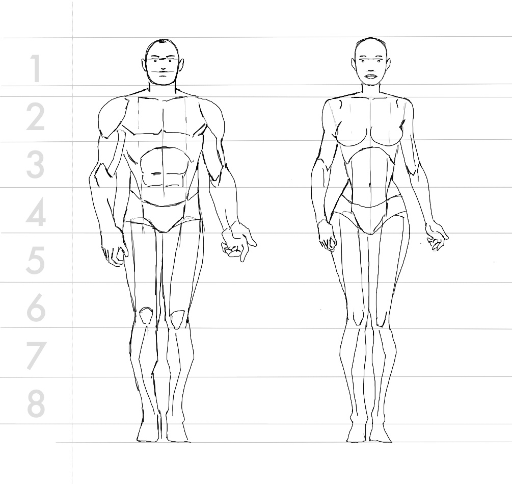 Proportion drawing skill 