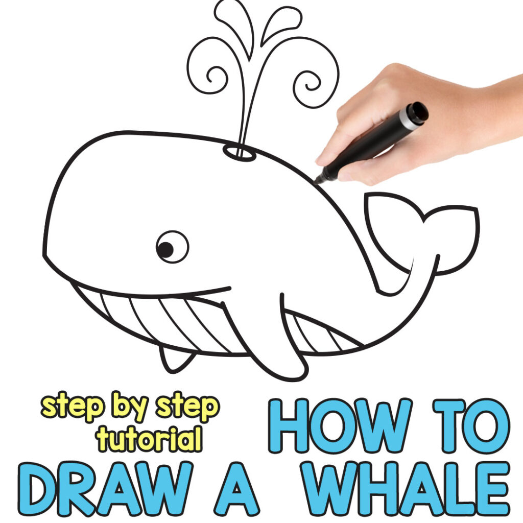 draw a whale step by step