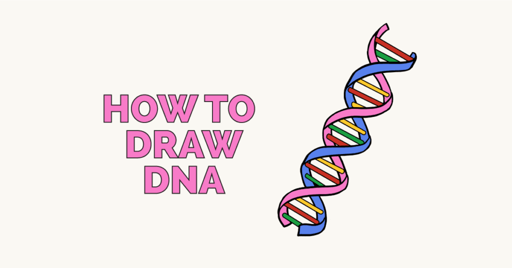 how to draw a dna strand