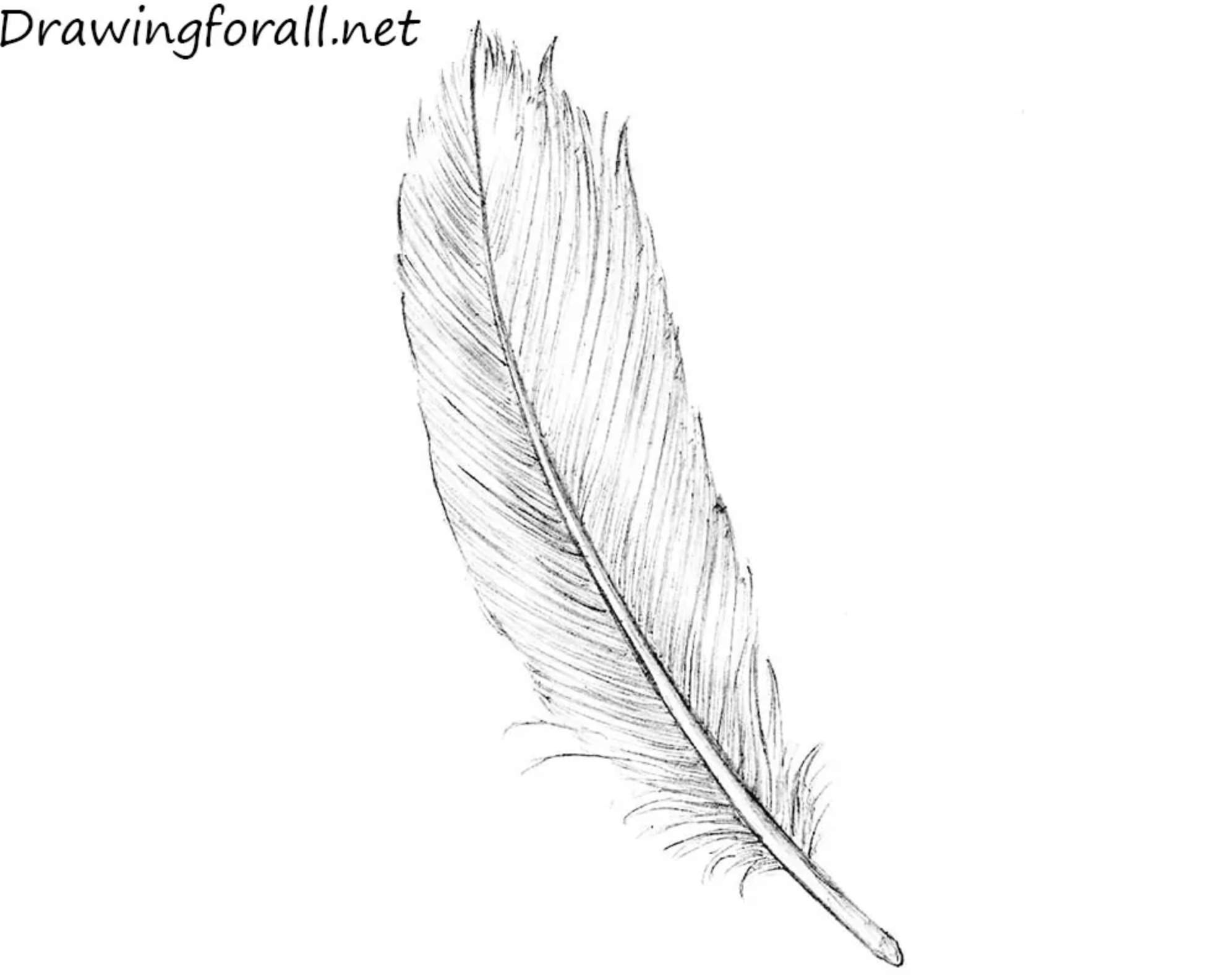 how to draw a feather