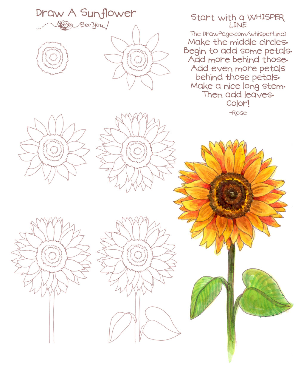 how to draw a sunflower