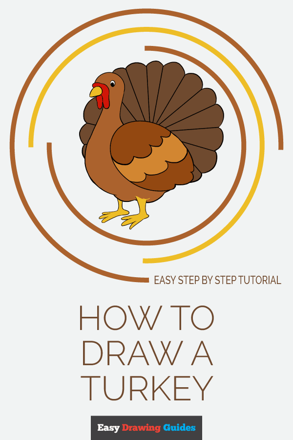 how to draw a turkey