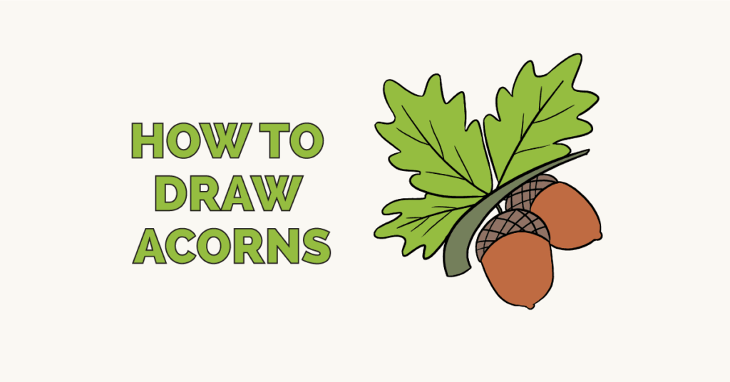 how to draw acorns