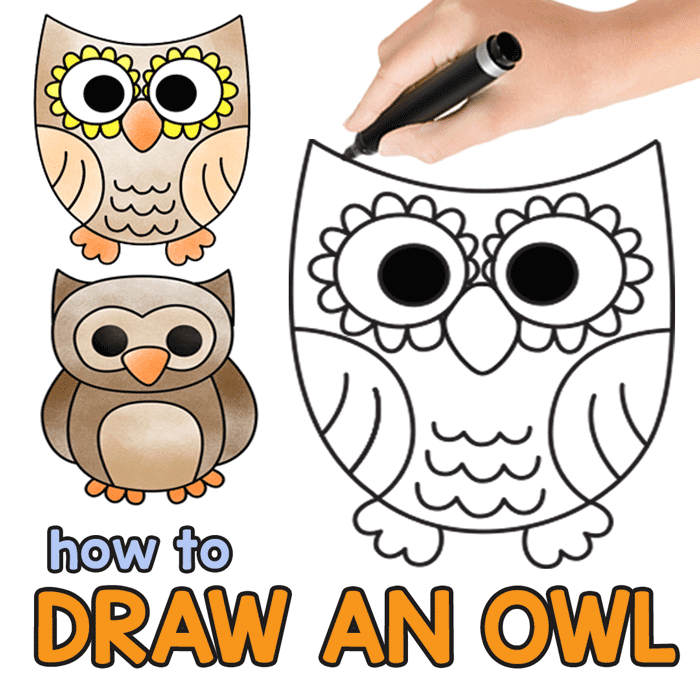 how to draw an owl