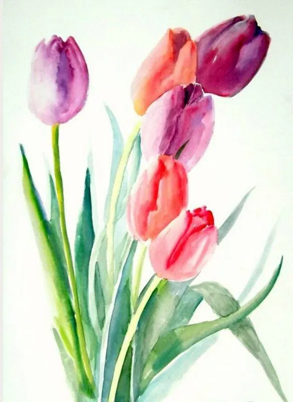 loose watercolor tulips