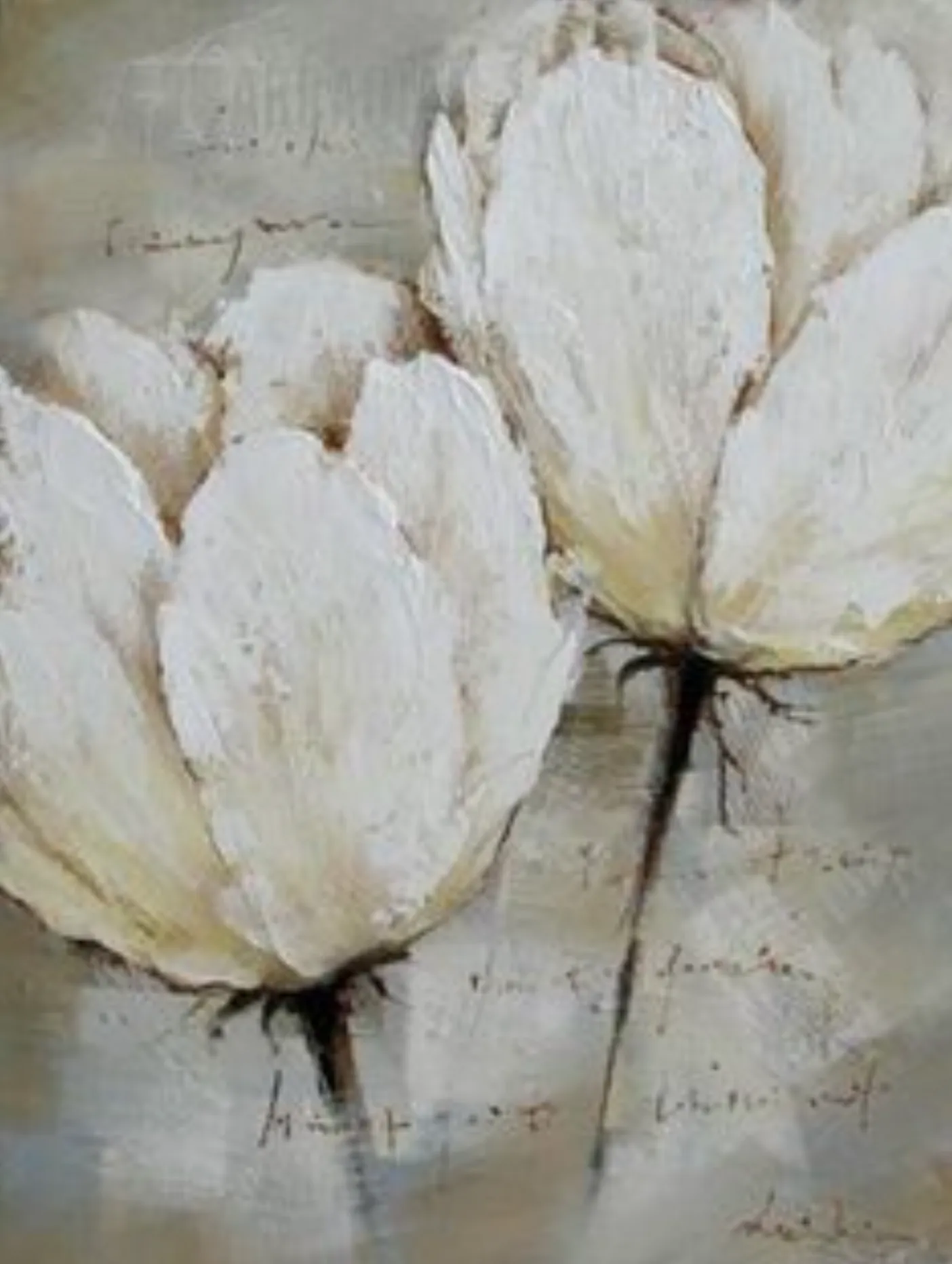 white tulip on canvas