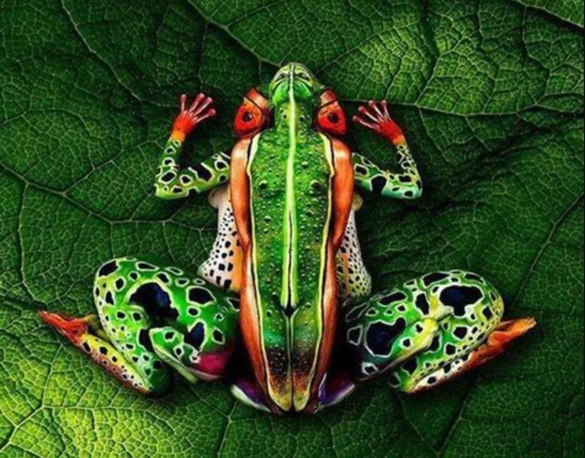 animal body art