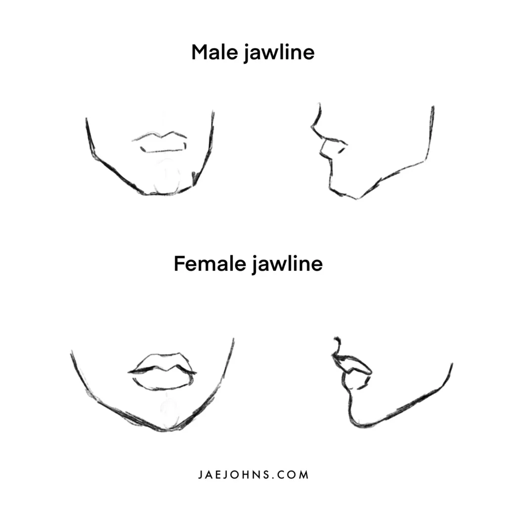 male and female jaw