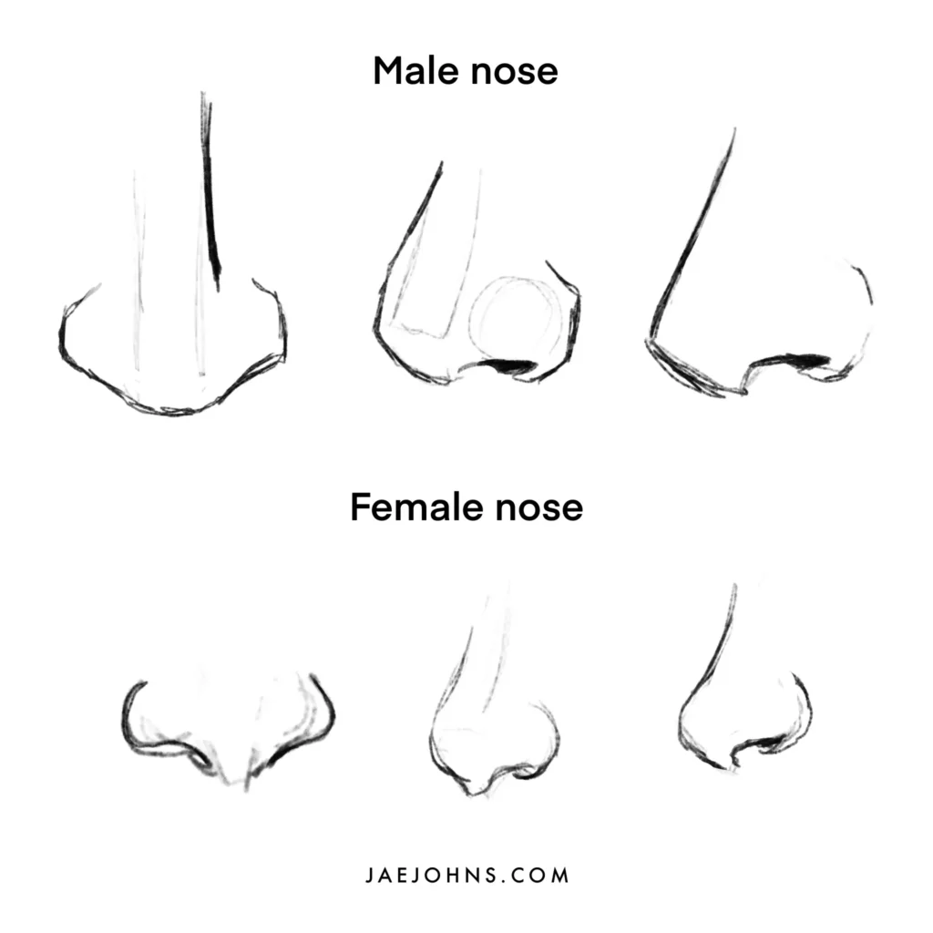male and female nose