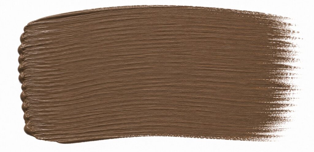 coffee brown paint swatch
