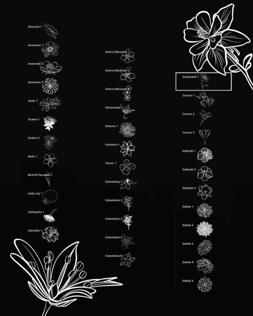 procreate stamp brushes flower pack by hyde