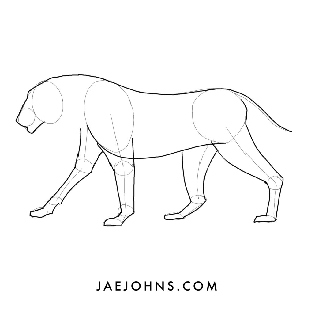 How to Draw a Lion