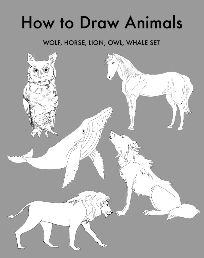 how to draw animals wolf horse lion owl whale