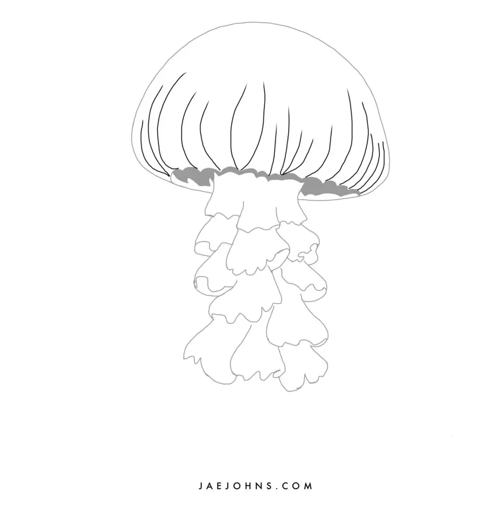 How To Draw A Jellyfish