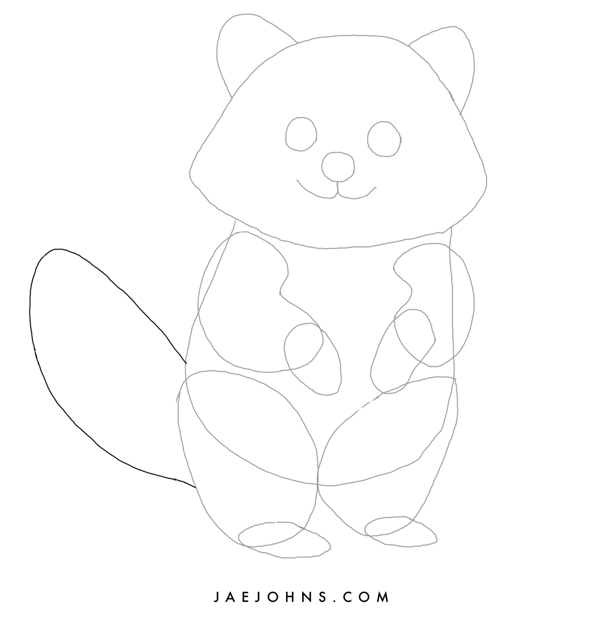 How to Draw a Raccoon