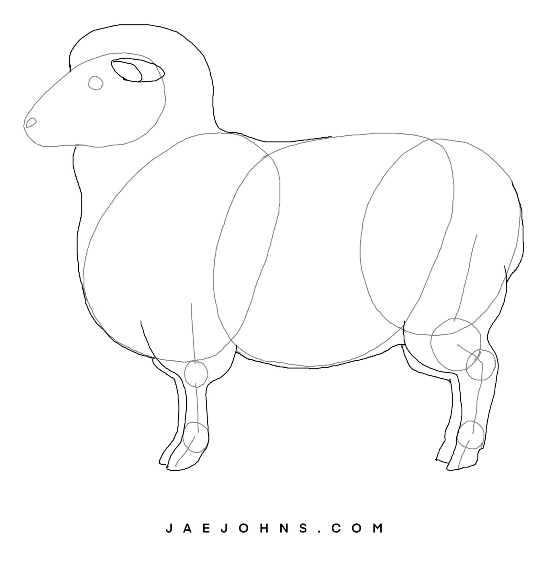 5 Easy Steps to Draw a Sheep