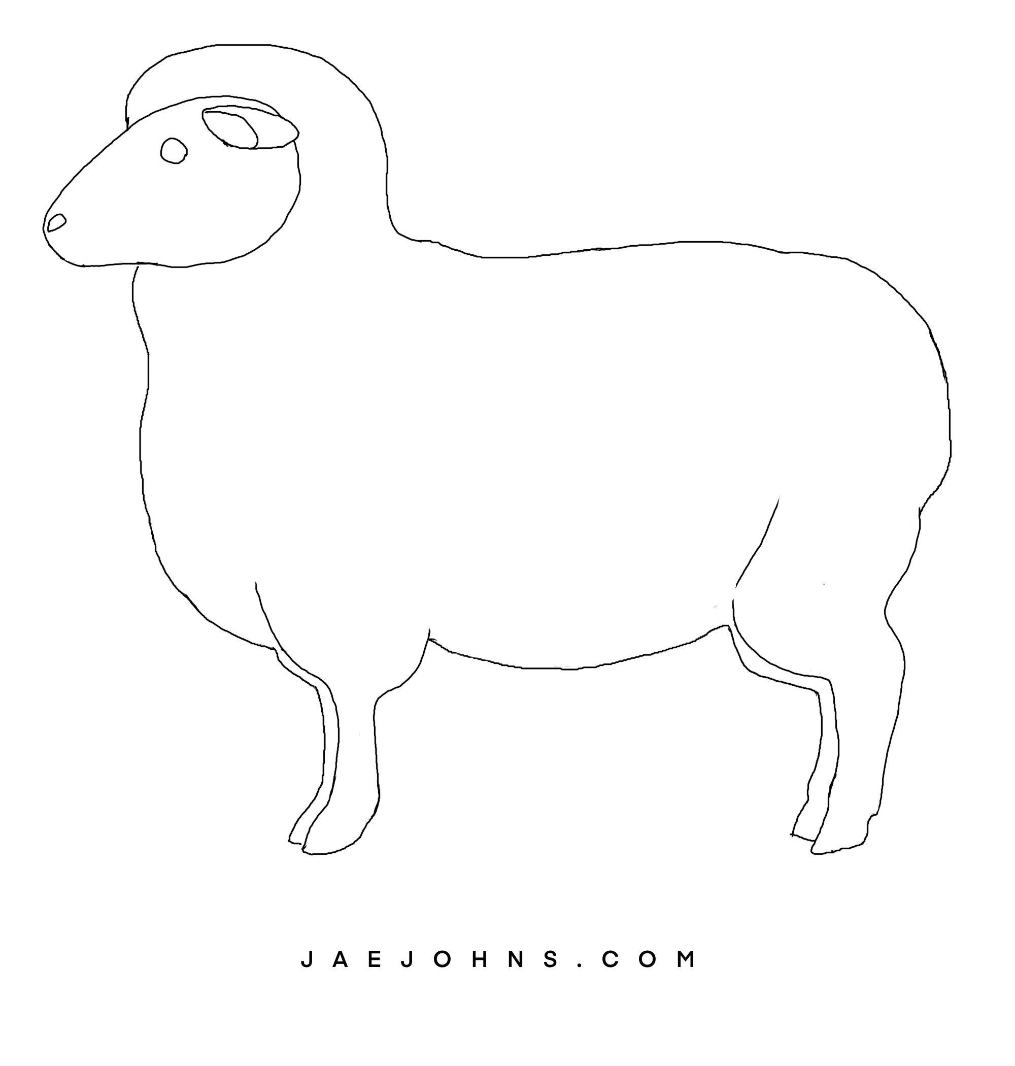 5 Easy Steps to Draw a Sheep