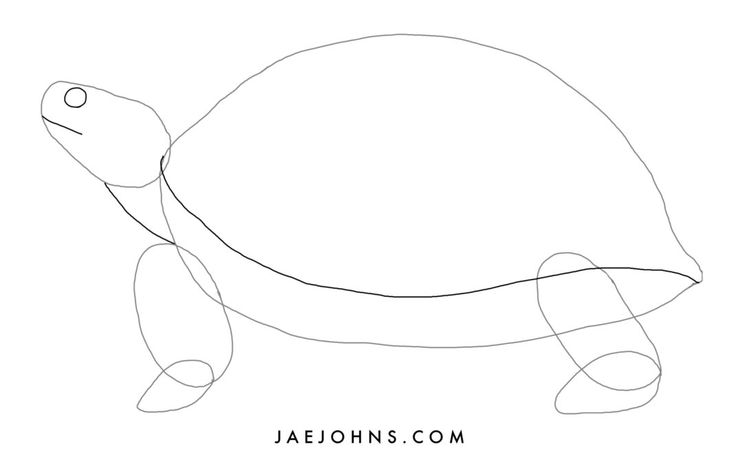 Turtle Drawing Without Shell Easy 5 Easy Steps to Draw a Turtle